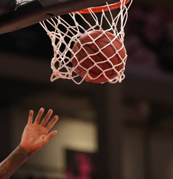 不仅补强了 不仅补强了